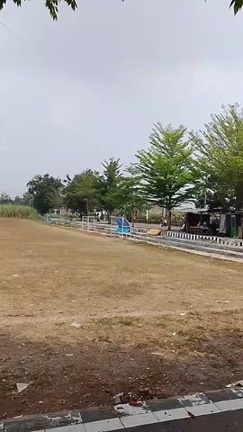The video shows an outdoor scene with a dry, grassy field in the foreground. Behind the field, there is a row of trees with green foliage. Further back, there are several small structures that appear to be market stalls or food vendors, with tables and chairs set up. Some people are visible sitting at the tables. A motorcycle is parked near one of the stalls. The sky is overcast.