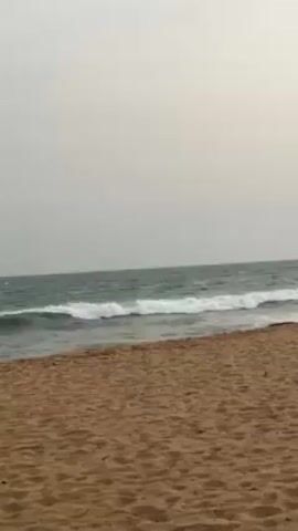 The scene captures a beach with golden sand meeting the ocean under an overcast sky. Small waves roll onto the shore. The scene appears peaceful and empty.