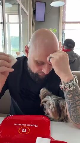A middle-aged, bald man with a beard sits inside a cafe. He is wearing a black shirt, a thick metal bracelet on his left wrist, and a silver ring. His left arm is covered in tattoos. He is holding a tissue in one hand and holding his forehead with the other. There is a small dog with brown and white fur sitting near him on the table. A red tray with white lettering sits in front of him. Behind him, other people are seated at tables. The room has large windows showing a view of the outdoors.