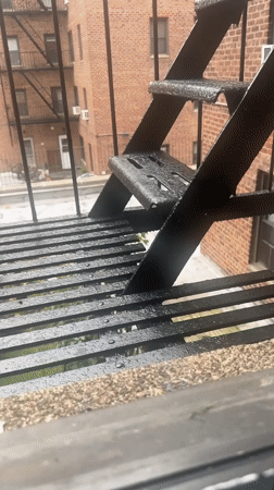 Squirrel snacks on a NYC fire escape