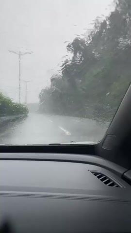 The video is taken from inside a car, looking through the rain-streaked windshield at a road ahead. The sky is overcast and gray. Trees and vegetation line the right side of the road, appearing somewhat blurred due to the rain and the car's movement. On the left side of the road, there are streetlights and more greenery. The road itself is wet and reflects the dull light. The dashboard of the car is visible in the foreground, made of dark, textured material. The overall impression is of driving in heavy rain.
