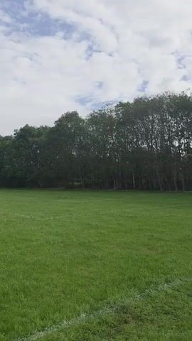 The video pans across a large, grassy field with a line of trees in the background under a cloudy sky. There is a white line visible on the grass in the foreground, possibly marking the edge of a sports field.