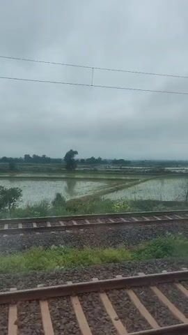 The video shows a view from a moving train. The foreground consists of train tracks and vegetation. In the background, there is a vast, flooded field, likely a paddy field, under a cloudy sky. Trees and utility poles are visible in the distance. The train is moving, causing the scenery to shift. The overall atmosphere is overcast and potentially humid.