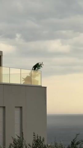 This media file is a short video clip showing a modern building with a balcony overlooking the sea. The time of day appears to be late afternoon or early evening, as indicated by the soft, warm light. The sky is partly cloudy, with the clouds having a slightly overcast appearance.

The primary subject is the building itself, which features a minimalist design with a light-colored facade and glass railings on the balcony. A potted plant, possibly a palm, is visible on the balcony, its fronds gently swaying as if in a breeze. The sea is visible in the background, appearing calm and extending to the horizon. In the foreground, the tops of trees with green foliage can be seen, suggesting the building is situated on a hillside or elevated area, common in coastal regions.

There are no people or animals visible in the frame. The overall mood of the video is serene and peaceful, highlighting the quiet beauty of the coastal landscape. The location context is identified as Trap, Montenegro. There is no visible text in the media file.