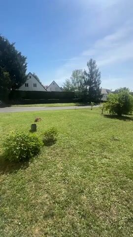 The video shows a sunny day in a green lawn or yard, with patches of cut grass and some scattered leaves. In the background, there are houses and trees visible across a street. The camera pans slightly to the right, showing a bush and a fence bordering the yard. The sun is shining brightly, causing a glare in the upper part of the frame. The sky is blue with some wispy clouds.