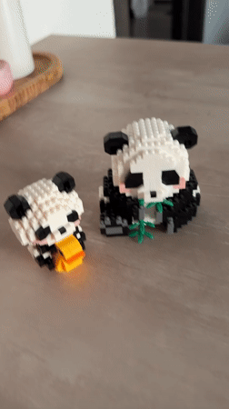 Block pandas, a cat, and a daytime moon over Kyiv apartments