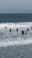 Morning leisure activities observed across Kuta beach and hotel areas