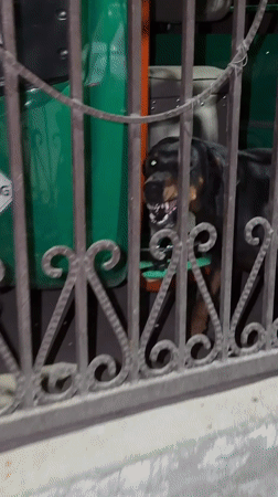 Nighttime Delhi street life documented across city neighborhoods