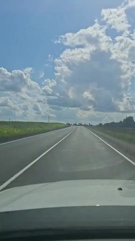 The video shows a point-of-view shot from inside a vehicle driving on a paved road. The road is in the foreground, and it stretches into the distance, curving slightly to the left. White lines mark the lanes. On the left side of the road, there is a field of green crops, likely sunflowers, extending to the horizon. On the right side, there is a more sparse landscape with some trees visible in the distance. The sky is blue with large, fluffy white clouds. The sun is shining, casting light on the scene. The vehicle appears to be moving at a moderate speed. There are no other vehicles or people visible in the immediate vicinity. The overall impression is one of a sunny day drive through the countryside.