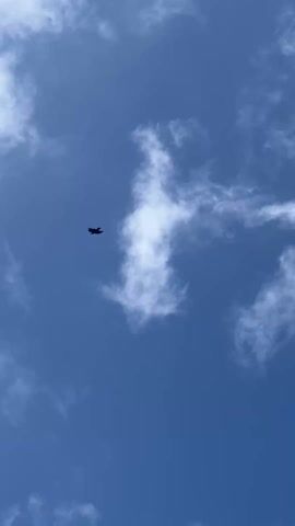The video shows a black bird flying high up in the sky. The sky is a deep blue with scattered white clouds.