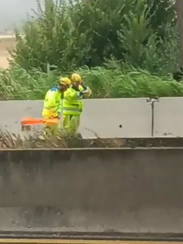 The video shows a roadside scene with two individuals wearing high-visibility yellow jackets and hard hats. They appear to be road workers or emergency personnel. One person is holding an orange traffic cone. The individuals are standing near a white vehicle, possibly a car or van, which is partially obscured. Beyond the workers and the vehicle, there is lush green foliage, suggesting an outdoor setting. The ground in the foreground is rough, with some debris or overgrown vegetation. A concrete barrier or median is prominently visible, separating the viewer's perspective from the scene. The lighting suggests it is daytime, with a slightly overcast or hazy sky. There is no visible text in the media file. The context provided indicates the location is Castel San Pietro Terme, Italy. The overall impression is of a work in progress or a minor roadside incident being addressed by workers.