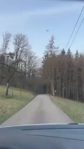 A vehicle is traveling on a narrow asphalt road that runs through a forest. The forest is a mix of bare-branched trees and evergreen trees. The sky is overcast. The video is shot from the driver's perspective.