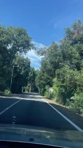 The video shows a first-person perspective from inside a car driving on a paved road lined with lush green trees. The sky is a clear blue with some white clouds. Sunlight dapples the road through the leaves of the trees. There is a street light visible on the left side of the road. A road sign is also visible on the right side of the road. The car appears to be a Mercedes-Benz based on the emblem visible on the hood. The road curves gently to the right as the car progresses. The overall impression is one of a scenic drive through a tree-lined avenue on a sunny day.
