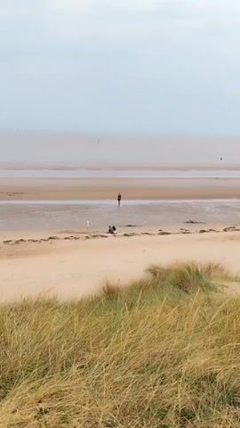A wide shot shows a beach scene with a person standing in the shallow water in the distance. In the foreground, tall, dry grass partially obscures a sandy beach where a few people are gathered, some sitting on a blanket, while a child runs nearby. The sky is overcast and the sea is calm.