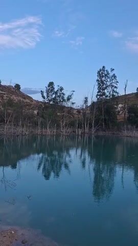 A serene video captures a wide shot of a calm, turquoise lake. The water is smooth, reflecting the sky and the surrounding landscape. On the far side of the lake, a gentle, tree-lined slope rises, its crest dotted with more trees and a rocky outcrop. The sky above is a soft blue with wisps of clouds. Dead trees with bare branches protrude from the water's edge, adding a touch of starkness to the otherwise tranquil scene. The video pans slowly to the right, revealing more of the hilly terrain and the vast expanse of the lake.