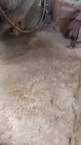 The video shows a close-up of a tabby cat sitting on a concrete floor. The cat's head is tilted to the side, and its green eyes are looking forward. The cat is mostly grey and black with some brown markings. The floor is rough and textured. In the background, there are some blurry objects, including what appears to be some metal pieces and a white and blue bag. The lighting is dim and appears to be from an overhead source.