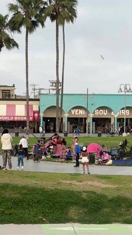 The scene captures a slice of life at Venice Beach, California, on an overcast day. Several tall palm trees frame the view. People stroll and roller skate along a paved path winding through a grassy area. In the background, a building painted in teal with white arches houses a "Venice Souvenirs" shop; beside it, a shop with a red and pink exterior is labeled "World Book." Groups of people are relaxing on the grass with blankets, chairs, and a small pink tent visible. Some are engaged in conversation, while others are simply enjoying the scenery. A few birds fly in the sky. The focus is on the relaxed, leisurely atmosphere of the beach area, with various people enjoying different activities.