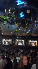 Late night revelry continues at Pleven nightclub