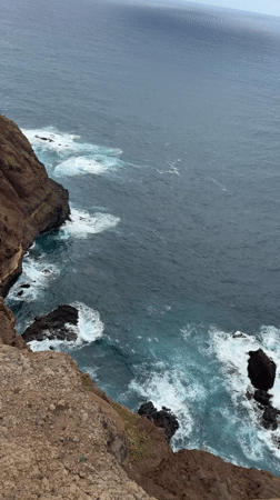 Tourists document dramatic coastal scenery at Machico clifftops