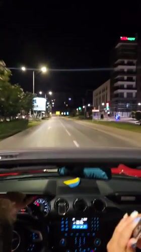 Nighttime drive and hedgehog sighting recorded in Bar, Montenegro