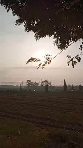 The video displays a static shot of a rural landscape at sunrise. The foreground features a dry, harvested field. In the middle ground, there are several trees, telephone poles, and a few distant figures that appear to be on motorcycles. A car is also visible on a road. The background consists of a hazy sky with the sun partially obscured by tree branches in the foreground, creating a silhouette effect. The overall lighting suggests early morning. There are no discernible actions or interactions captured.