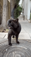 Afternoon street life captured across Tel Aviv neighborhoods