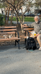 Elderly man shares evening moment with squirrel in NYC park