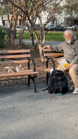 Elderly man shares evening moment with squirrel in NYC park