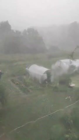 The video shows a rural scene with trees in the background. In the middle ground, there are two greenhouses. A scarecrow is visible to the left of the greenhouses. The foreground shows green grass and a coiled green hose. The weather appears to be stormy or foggy, with low visibility.