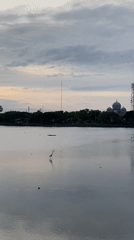 Golden hour waterscapes and wildlife captured in Lhokseumawe