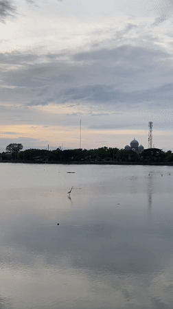 Golden hour waterscapes and wildlife captured in Lhokseumawe
