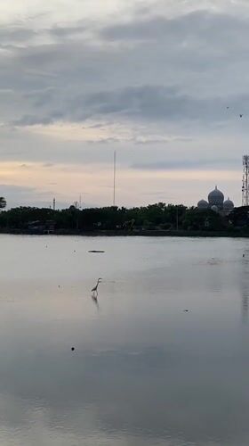 Golden hour waterscapes and wildlife captured in Lhokseumawe