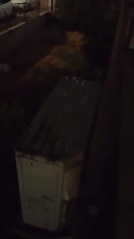 A night-time video displays an exterior air conditioning unit positioned on a ledge. The unit is white with a gray, ribbed top. The surrounding environment is dark, with some faint illumination suggesting streetlights or distant lights. Overgrown vegetation is visible to the left of the unit, and the top of a car and a fence are partially visible in the upper left corner of the frame. The perspective is from above, looking down at the air conditioning unit.