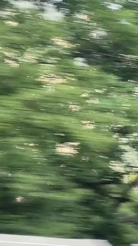 The video captures a view from a moving vehicle, likely a train or car. The foreground is blurred with streaks of green, indicating foliage passing by. Behind the foliage, a large mountain range is visible. The mountains are rocky with patches of green vegetation clinging to their slopes. The sky above is a hazy blue with some white clouds. The overall impression is of a scenic landscape viewed from a fast-moving perspective.