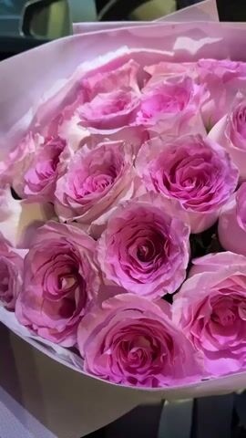 A close-up, vertical video shows a bouquet of pink roses. The roses are large and have many petals, with the centers being a deeper shade of pink than the outer petals. The bouquet is wrapped in light pink paper. The lighting is soft and warm. The background is dark and out of focus, with what appears to be a car interior visible. The camera is mostly stationary, with very subtle movements.