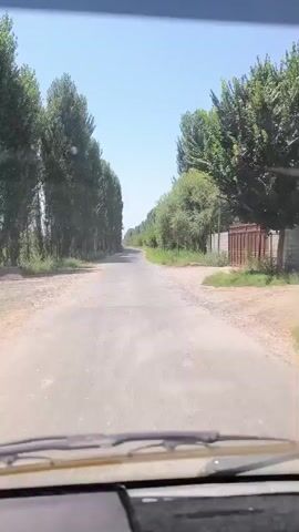 A point-of-view video captures a view from inside a vehicle driving down a paved road. Tall trees line both sides of the road, creating a canopy effect. The sky is clear and blue. The road appears to be in a rural or suburban area, with some vegetation and a fence visible on the right side of the frame. The vehicle's windshield wipers are visible at the bottom of the frame. The video is shot in daylight.
