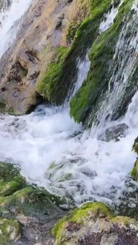 The video shows a waterfall flowing over rocks covered in moss. The waterfall starts from the top of the frame and flows downward, with the water cascading over multiple layers of rocks. The rocks are covered in vibrant green moss, adding a lush, natural element to the scene. At the top of the waterfall, bare trees reach towards the sky, hinting at a location within a forest or natural area. The water is clear and frothy, creating a dynamic visual as it rushes over the rocky terrain. The camera seems to move slightly, offering a view of the scene from a low angle, emphasizing the height and flow of the waterfall.