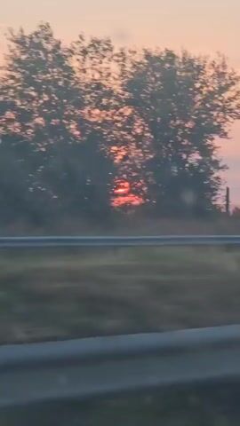 A short, slightly blurry video shows a sunset with a pink and orange sky. The sun is a bright, glowing orb partially obscured by trees and a power line or fence. The video appears to be taken from a moving vehicle, as indicated by the blurred foreground and the perspective of the landscape. The environment is rural, with trees, tall grass, and what looks like a road with a barrier in the foreground. A single bird is visible in the sky near the setting sun.