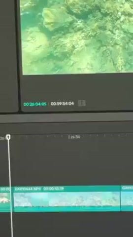 The video shows a screen displaying video editing software. The footage currently playing shows underwater visuals with rocks and algae. The timestamp on the screen indicates the video's current position is at 00:26:04:05, while the total duration is 00:59:54:04. The timeline at the bottom shows the individual video clips joined together.