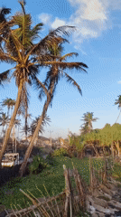 Tropical coastal landscape documented in video and photos