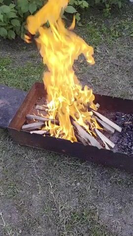 A fire burns in a metal grill. The fire is tall and orange and yellow. Several pieces of wood are in the grill, with embers to the right of the wood. The grill is on the ground, which is covered in grass and dirt. Green leaves are visible in the background.