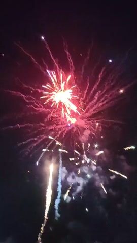 The video captures a vibrant fireworks display against a dark night sky. Numerous bursts of light illuminate the frame, primarily in shades of red and pink, with accents of blue, white, and golden sparks.

The fireworks launch from below the frame, leaving trails of smoke and light. Several individual rockets are seen ascending before exploding into large, spherical patterns of light. Some smaller, cluster-like bursts also appear. The dominant explosion in the center of the frame is a large, fiery red sphere, with individual sparks radiating outwards, resembling a floral pattern. Below this, another firework shoots upwards, leaving a distinct bright golden trail, while to its right, a smaller, golden-yellow burst adds to the spectacle. The sky is dark, suggesting a clear night, allowing the fireworks to be the sole focus of illumination. The audio features the distinct sounds of fireworks exploding, crackling, and whistling, enhancing the sense of a celebratory event. There is no visible text in the video.