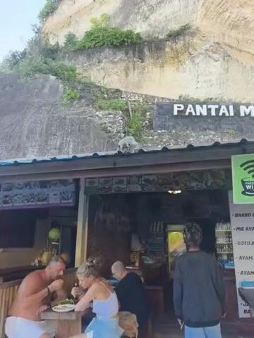 The video shows a monkey sitting on the roof of a restaurant with the sign "Pantai" visible. The restaurant has an outdoor seating area where a couple is eating at a table.  Another man is walking inside the restaurant.  The restaurant menu is visible and lists various dishes like Bakso, Mie Ayam, Soto Ayam, and Ayam Bakar.  The restaurant also advertises free WIFI. A large rocky cliff face is visible behind the restaurant.