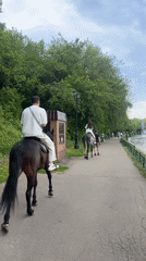 Weekend recreation observed in Khimki: horseback riding, boating