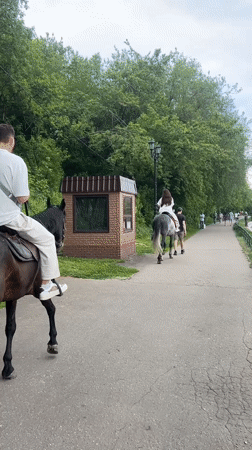 Weekend recreation observed in Khimki: horseback riding, boating