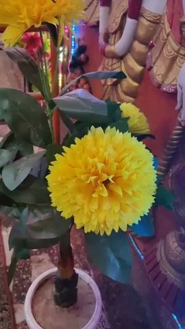 A close-up, low-angle, slightly shaky video shows a potted artificial plant with large yellow chrysanthemum-like flowers and green leaves. The plant is in the foreground, and behind it is a large, ornate, white and gold statue of the Hindu deity Ganesha, which appears to be carved into a wall or structure. The statue is decorated with red and gold accents. To the left of the Ganesha statue, a strand of colorful LED lights, predominantly blue, green, and red, is visible. The background is an orange-colored textured wall, and the ground appears to be tiled. The lighting is dim, with the LED lights providing some illumination. The video appears to be taken indoors, possibly in a temple or devotional setting. There are no people visible in the video.