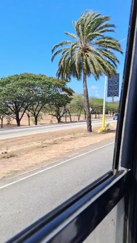 A car travels along a paved road next to a median with a row of yellow barriers. Trees and a palm tree line the other side of the road. A sign composed of dark panels with a light, repeating geometric pattern on them is visible. Other cars and a motorcycle travel along the road. The video is shot from inside a vehicle. The sky is bright blue.