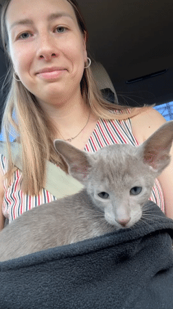 Woman holds grey kitten in Tomilino, Russia
