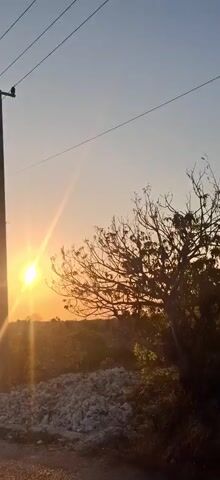 A vertical video captures a sunset scene with a power pole on the left and a bare-branched tree on the right. The sun is low in the sky, casting a warm glow and lens flares across the frame. The background shows a silhouette of distant trees and vegetation. In the foreground, there is a pile of white rocks or debris. The sky transitions from a warm orange near the horizon to a pale blue at the top. Power lines extend horizontally across the sky. The video appears to be filmed outdoors during the golden hour.