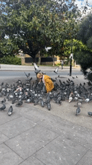 Person feeds pigeons on London sidewalk